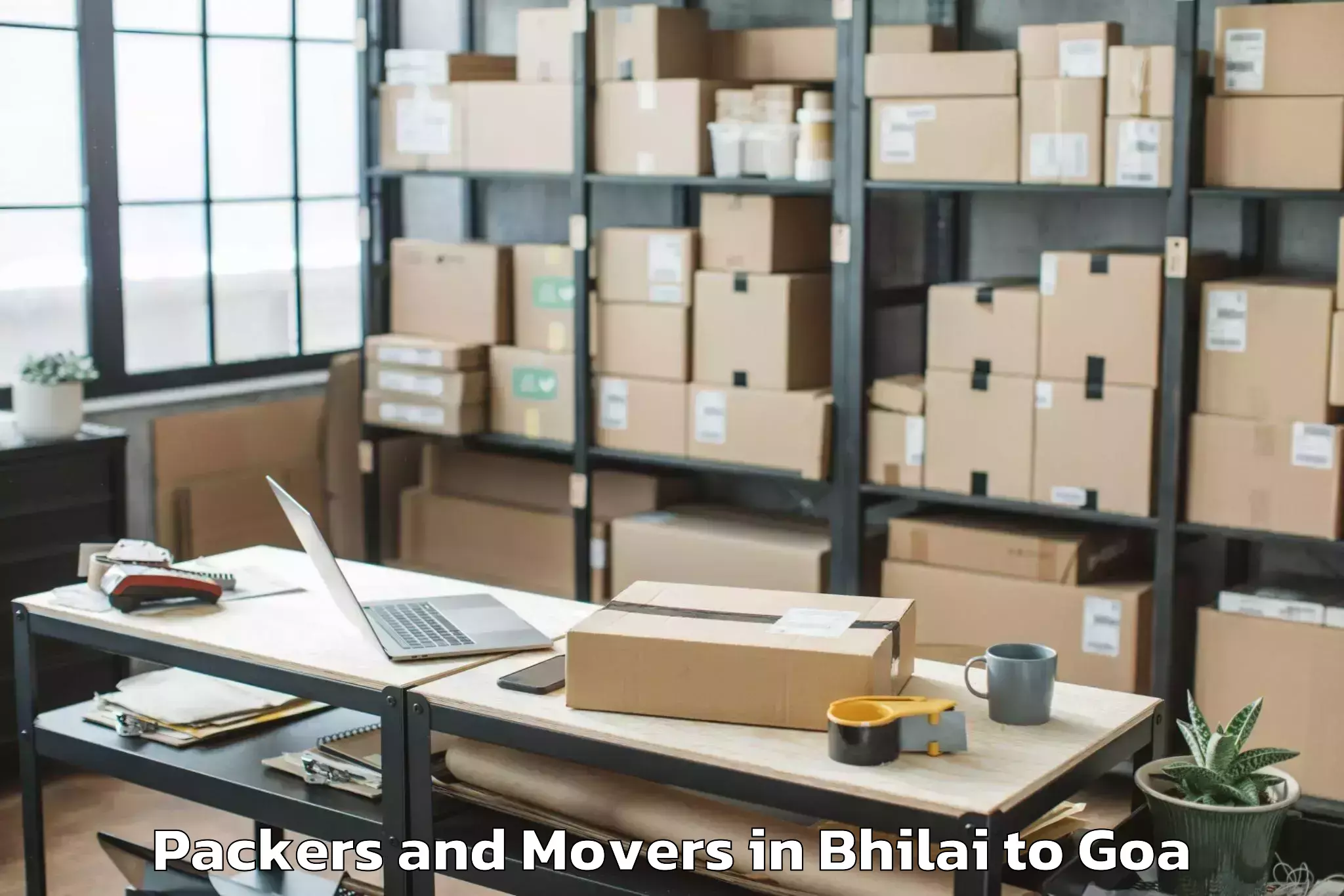 Professional Bhilai to Aldona Packers And Movers